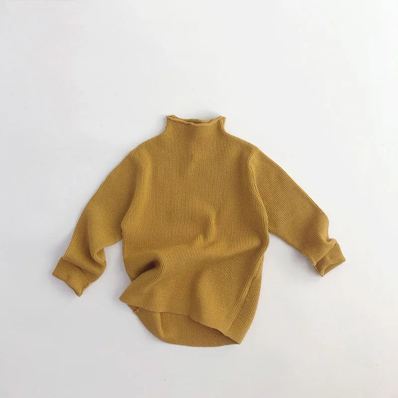 Turtleneck Ribbed Knit Sweater